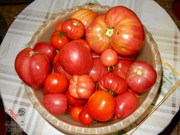 Rajčice iz našeg povrtnjaka